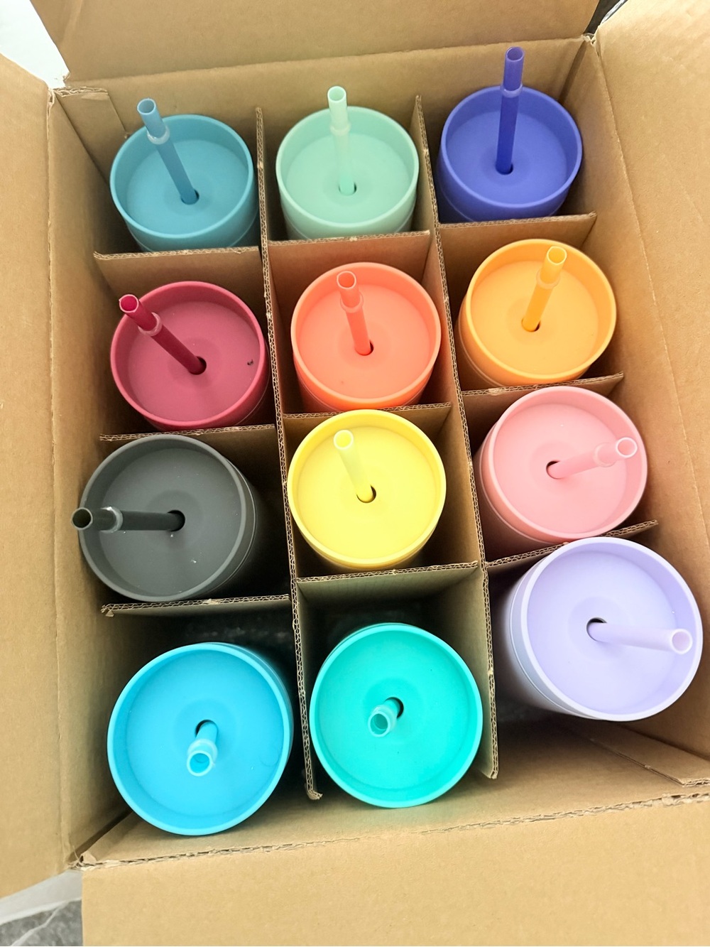 Earth Skinny Tumblers 12-Pack